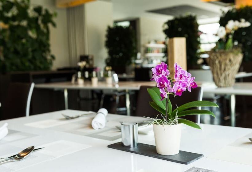 Apart  Welcoming L Urban Feel L Design