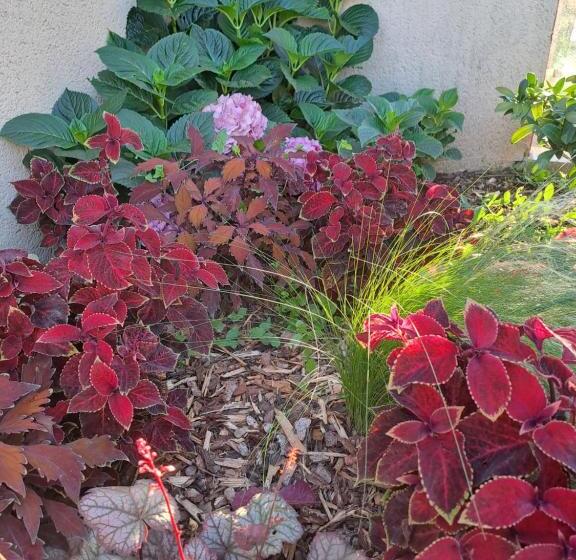 Astrotel Romorantin Lanthenay Soirée étape