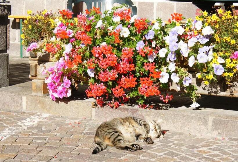 Berg Hotel Latemar Spitze