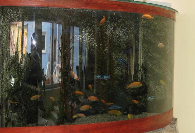 Blue Villa Appartement House