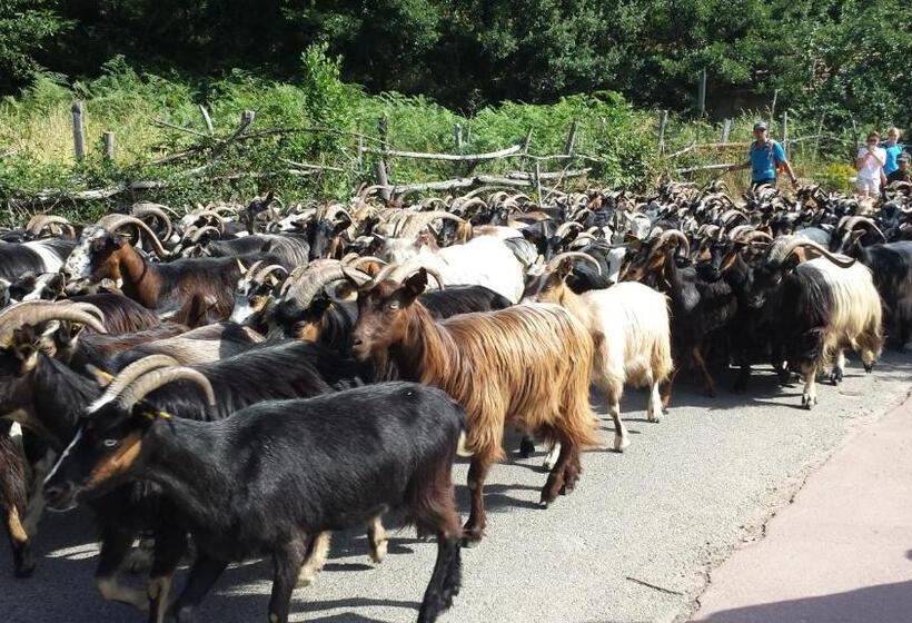 Boutique Hotel Artemisia