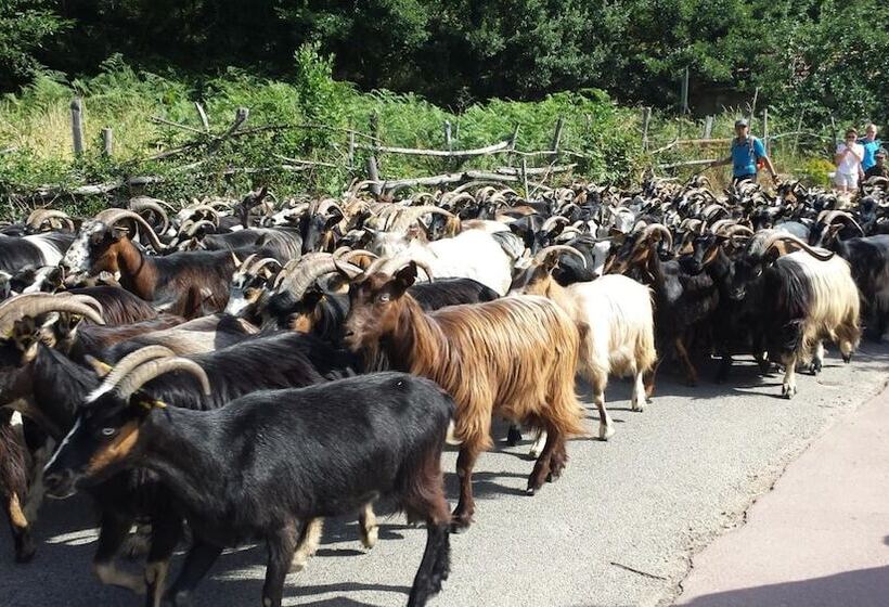 Boutique Hotel Artemisia