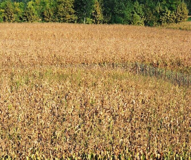 Casa A Colori Venezia