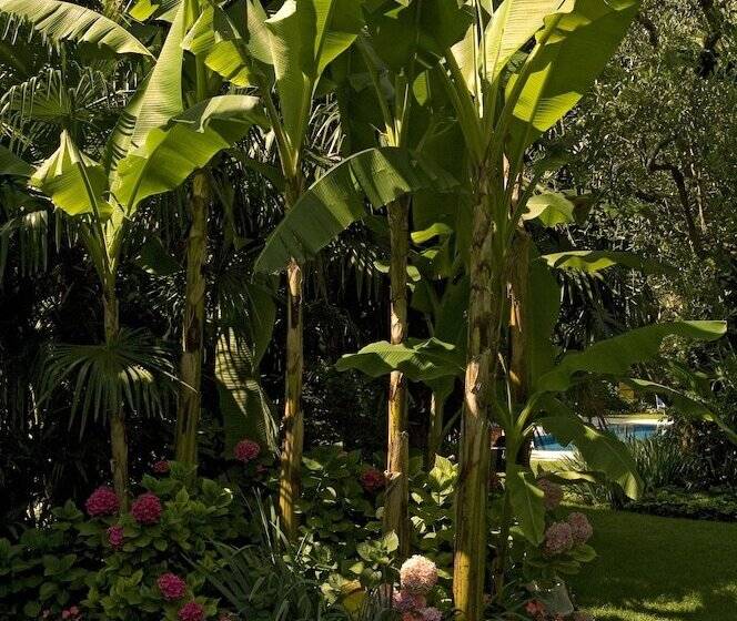 호텔 4 Stagioni Sensus Spa