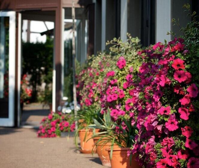 호텔 Adler Golf& Tagungs