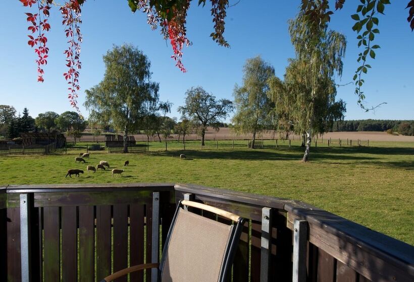 호텔 Adler Golf& Tagungs