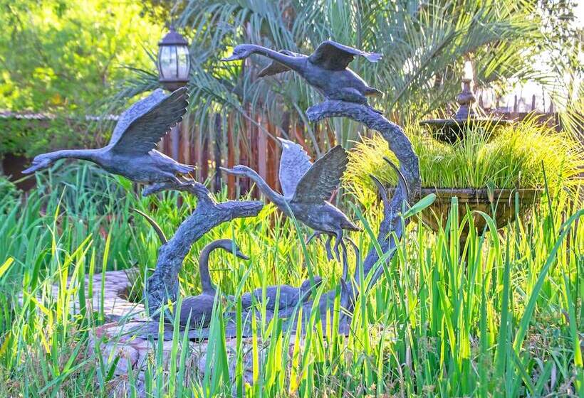 Afrique Boutique Hotel O.r. Tambo