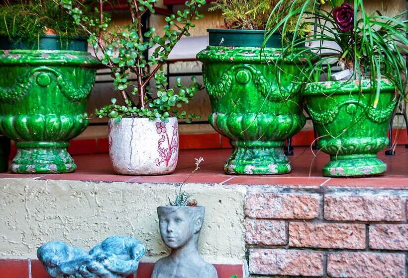 Afrique Boutique Hotel O.r. Tambo