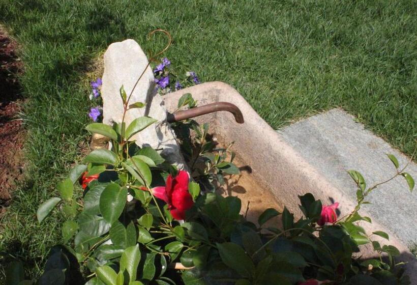 Отель Albergo Della Ceramica