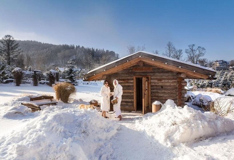 هتل Alpejski Boutique