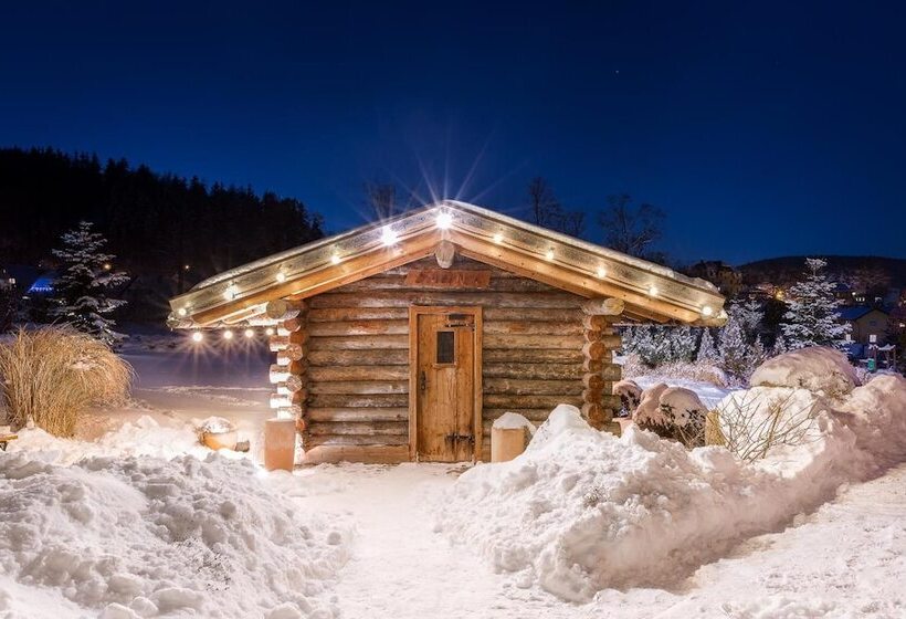 فندق Alpejski Boutique