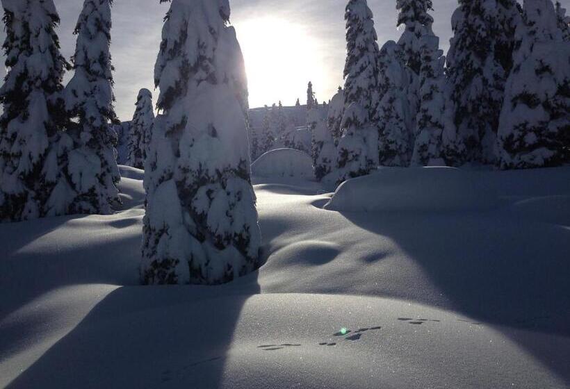 בית מלון כפרי Alpenresort Belvedere