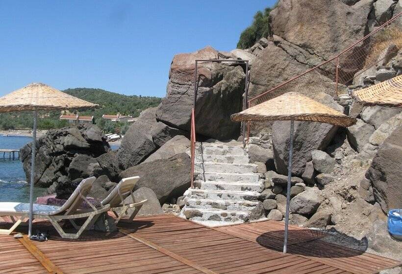 בית מלון כפרי Assos Terrace