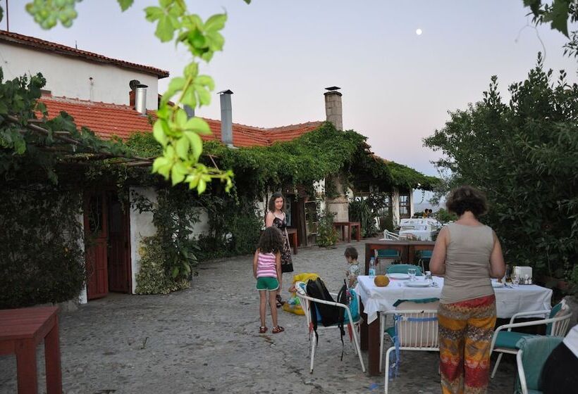 בית מלון כפרי Assos Terrace