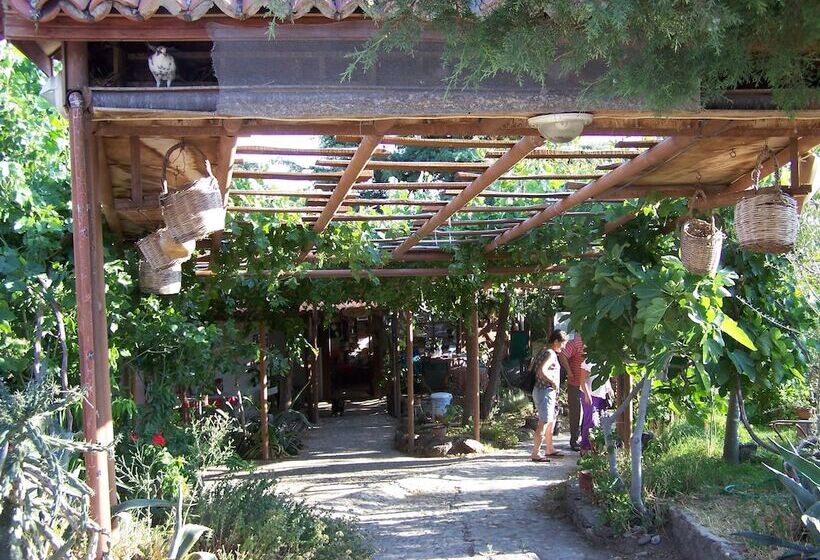 בית מלון כפרי Assos Terrace