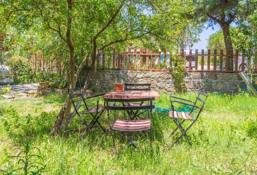 בית מלון כפרי Assos Terrace