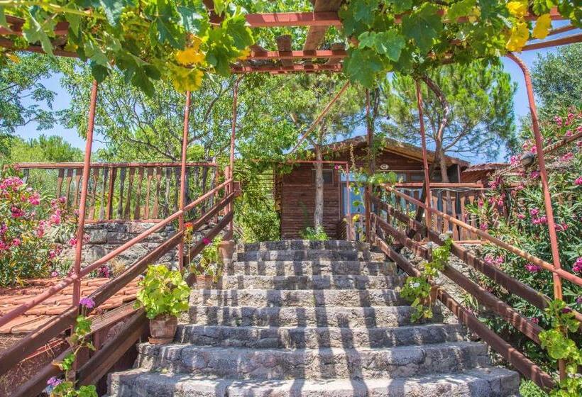 בית מלון כפרי Assos Terrace