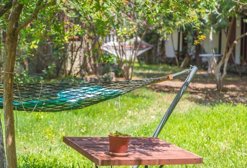 בית מלון כפרי Assos Terrace