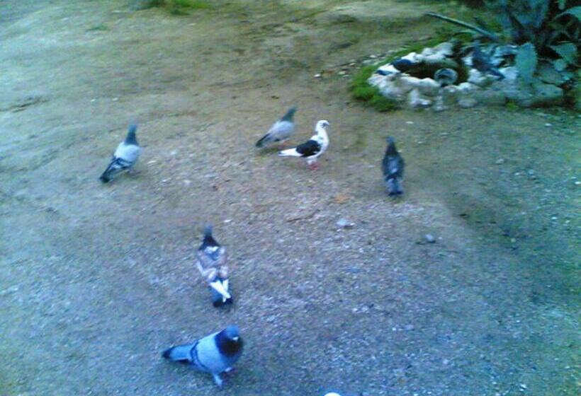 בית מלון כפרי Assos Terrace