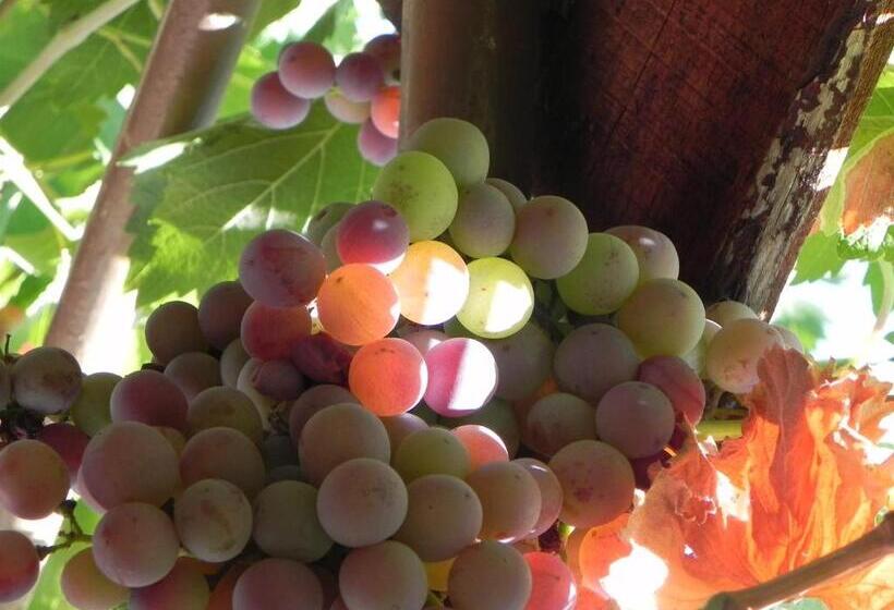 בית מלון כפרי Assos Terrace