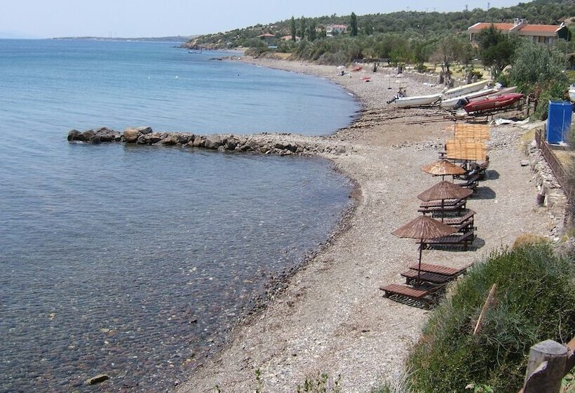 בית מלון כפרי Assos Terrace