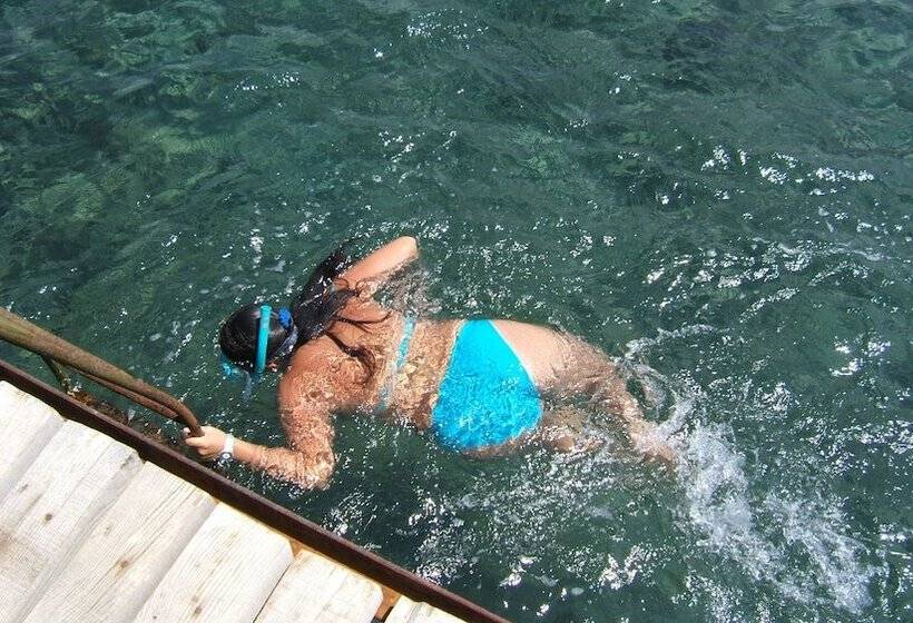 בית מלון כפרי Assos Terrace