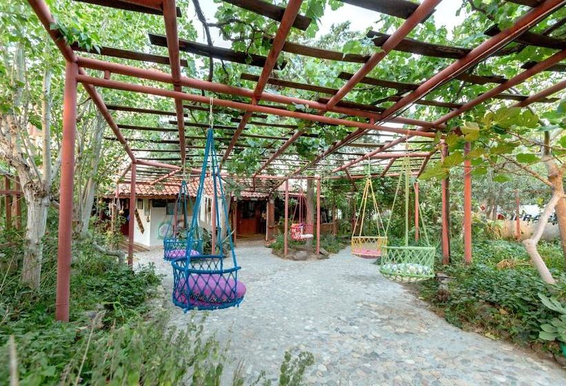 בית מלון כפרי Assos Terrace