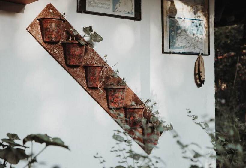 בית מלון כפרי Assos Terrace