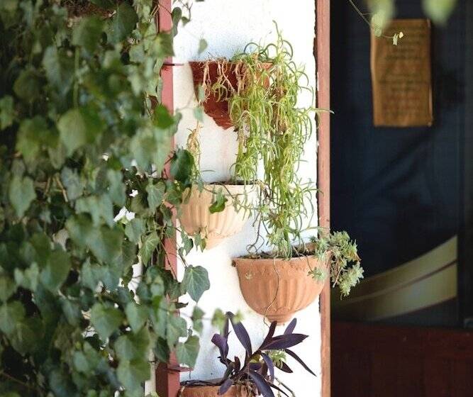 בית מלון כפרי Assos Terrace