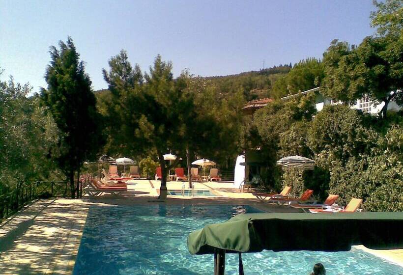 酒店 Atamer Doga Resort