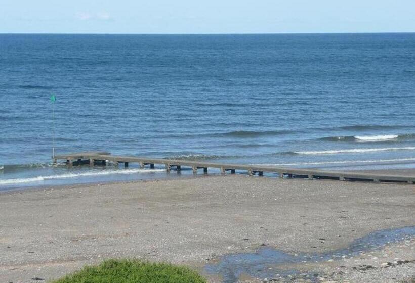 ホテル Bailey Ground