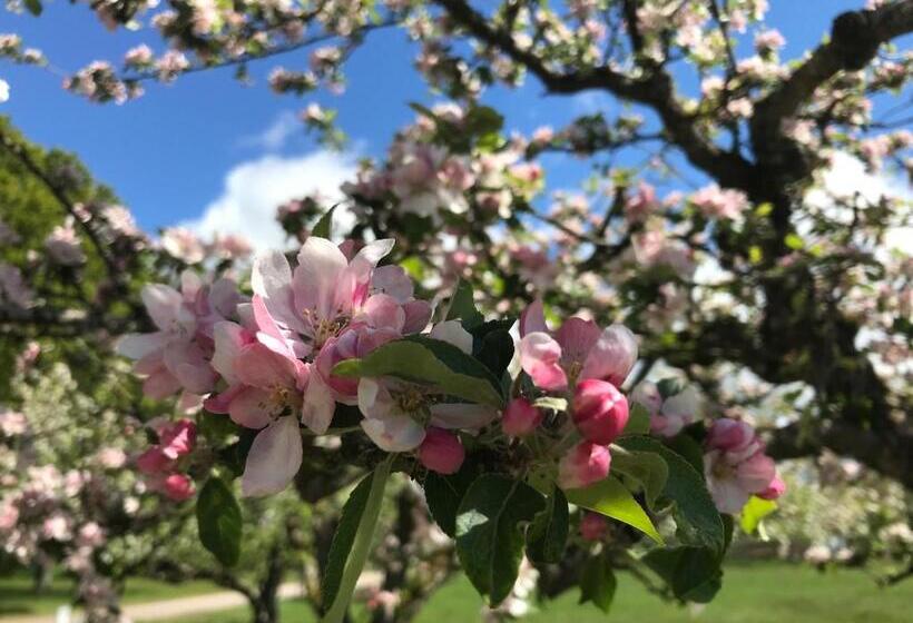 Best Western Valhall Park Hotell