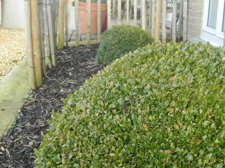 Boutique Hotel Butler