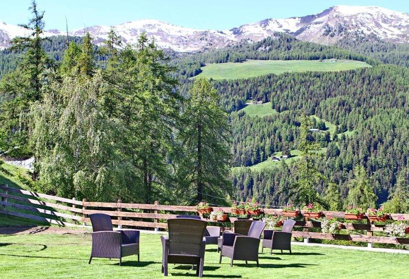 בית מלון כפרי Chacaril