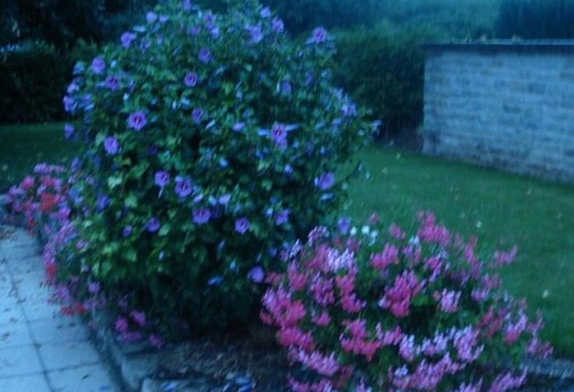 בית מלון כפרי Chambres D Hôtes La Chaumière