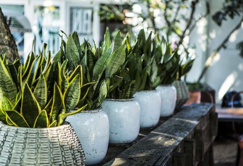 Отель Concierge