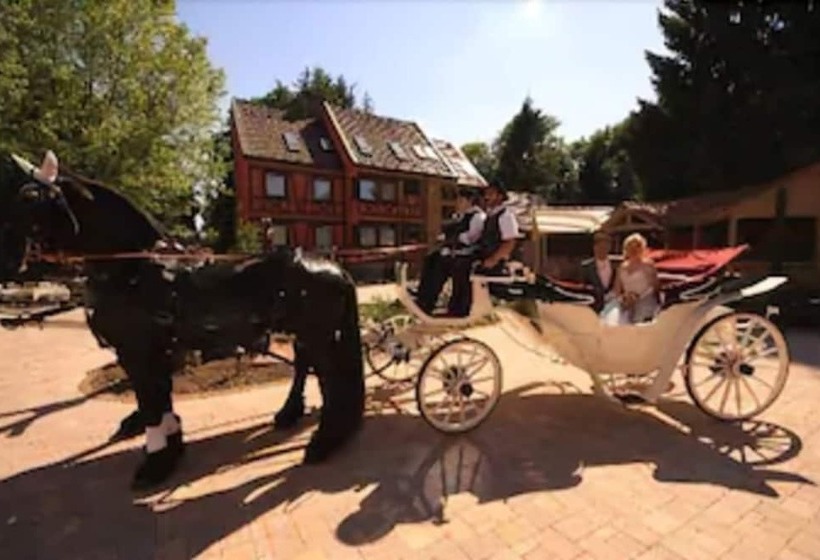 호텔 Dammenmühle
