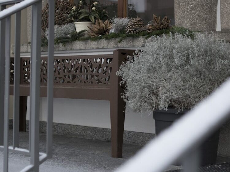 בית מלון כפרי Edelweiss