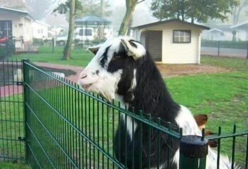 בית מלון כפרי Molengroet