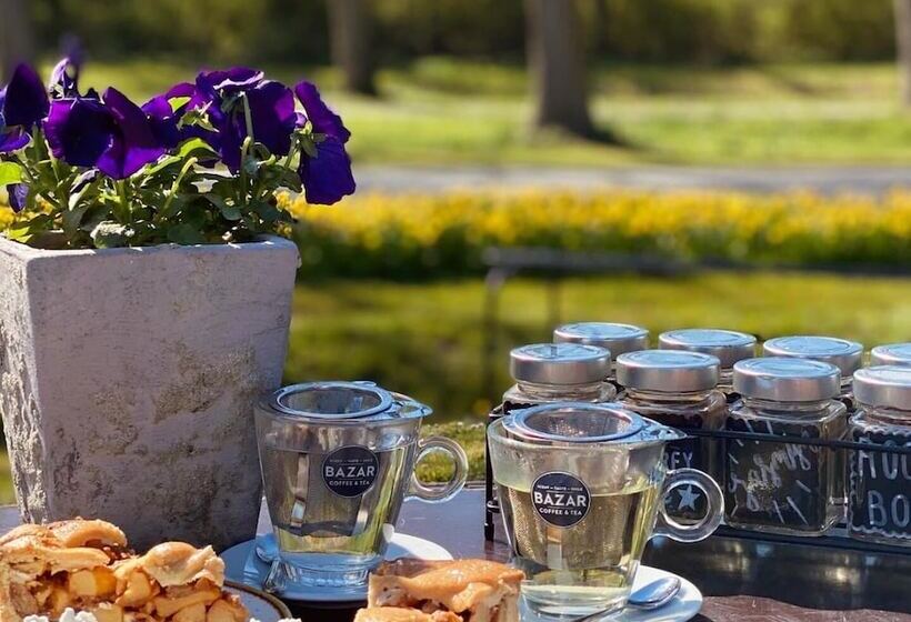 ホテル Molengroet