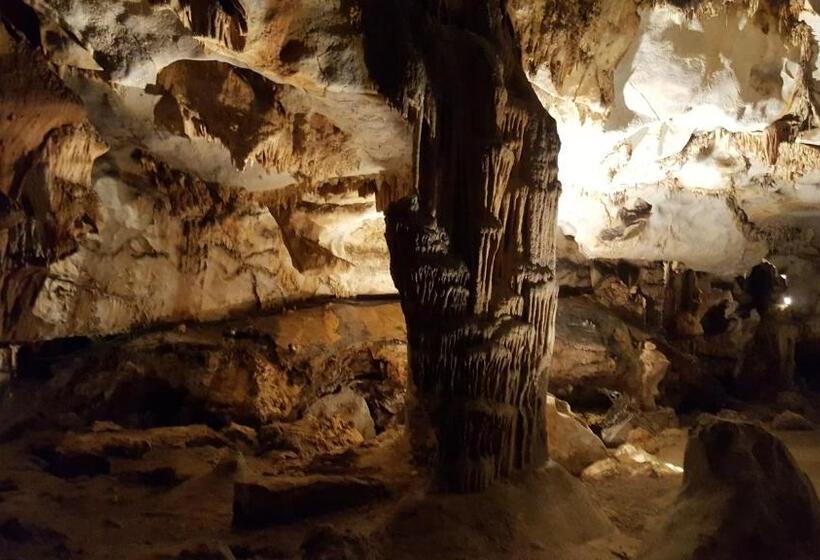 호텔 ô Fil De L ô