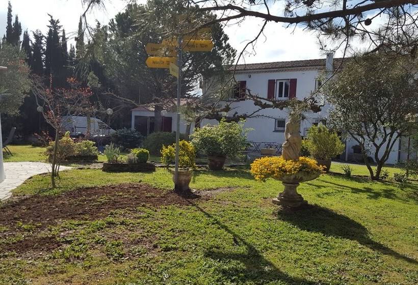 호텔 ô Fil De L ô