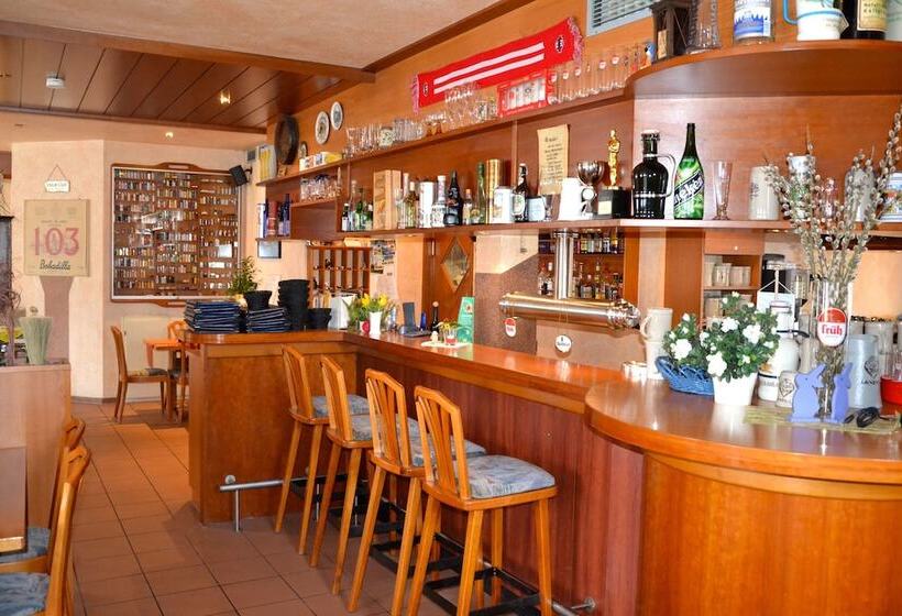 酒店 Gasthof Altes Rathaus Garni