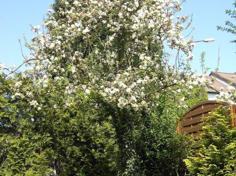 호텔 Graf Rolshausen