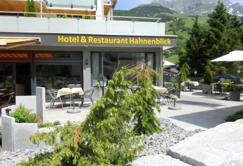 Отель Hahnenblick