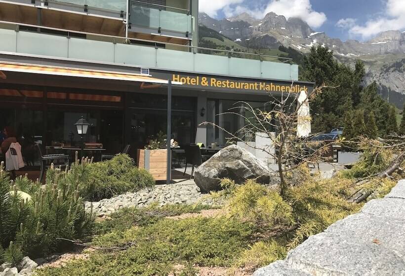 Отель Hahnenblick