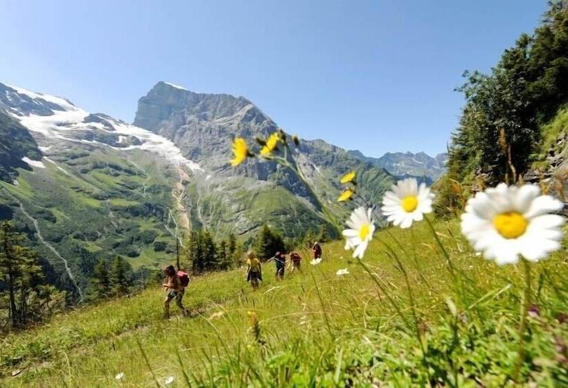 Отель Hahnenblick