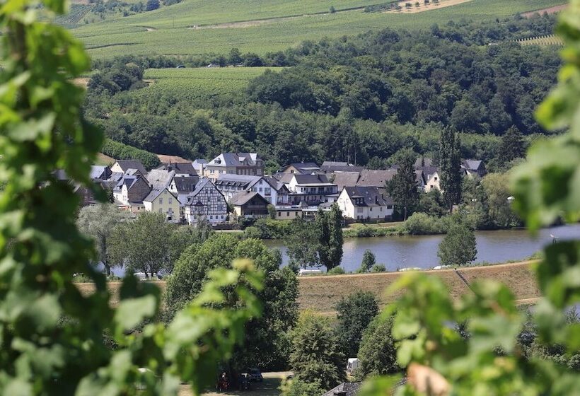 Отель Halfenstube & Villa Spa 1894