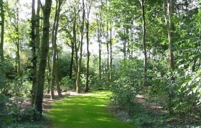 فندق Het Ros Van Twente