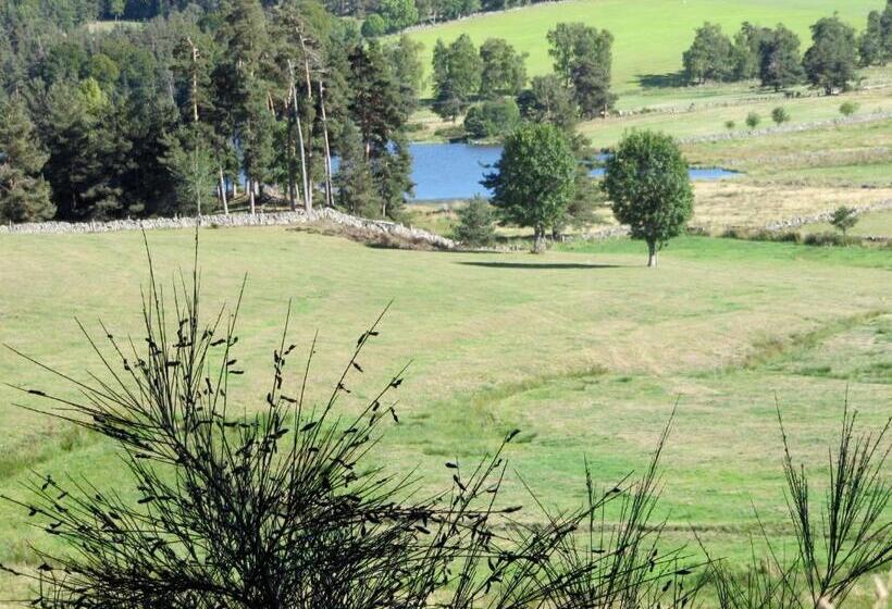 酒店 Hôtel Des Rochers